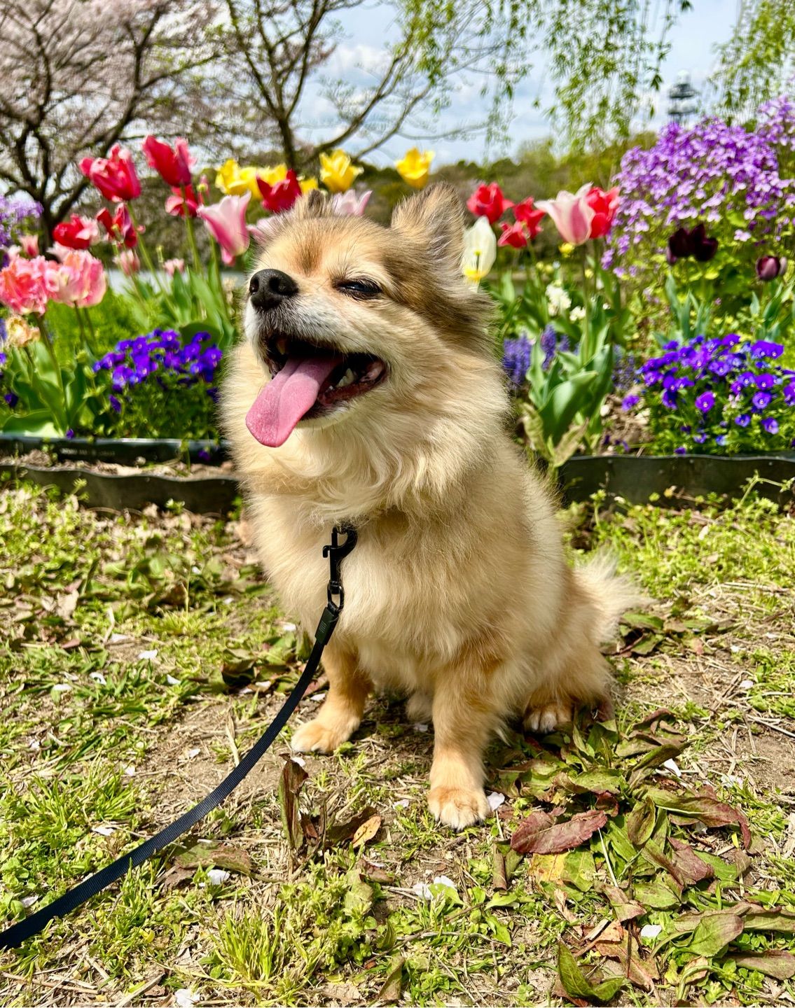 Basking in the sun☺️☀️🌈