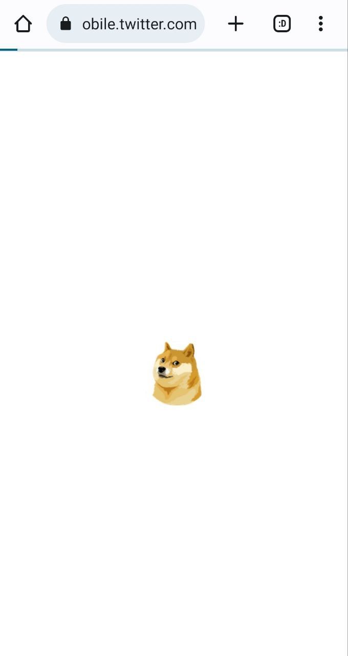 Twitter web cover changed doge🦭