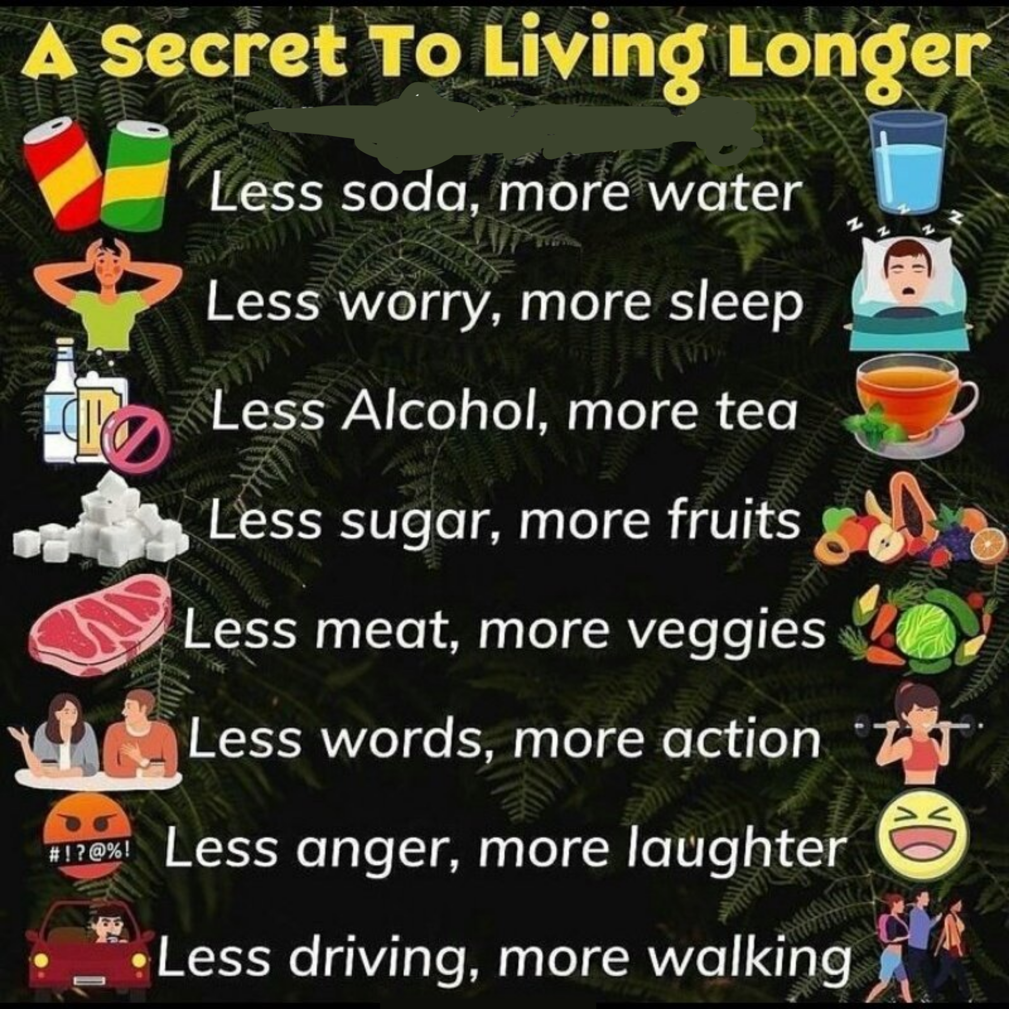 A Secret To Living Longer 🧬