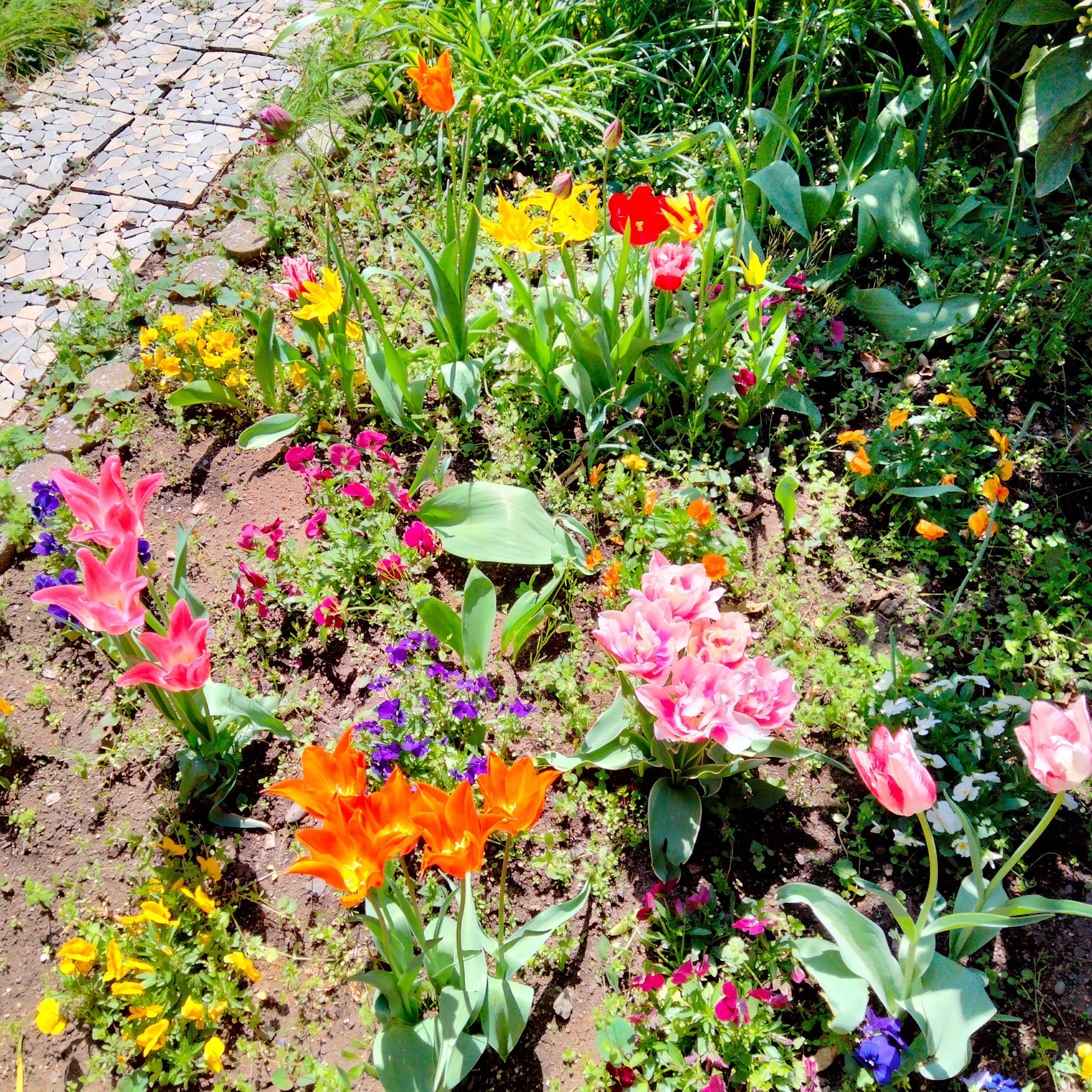 散歩したら春らしくて気持ちがよかった🌷
カソツーも春にならんかな?