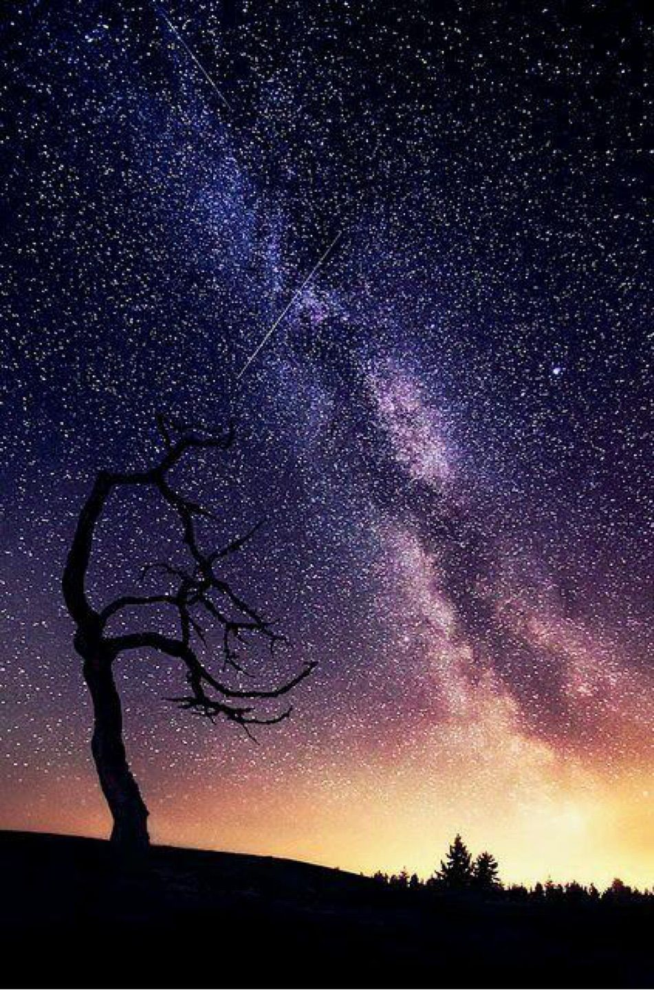 tree in front of the universe 🌳🌌