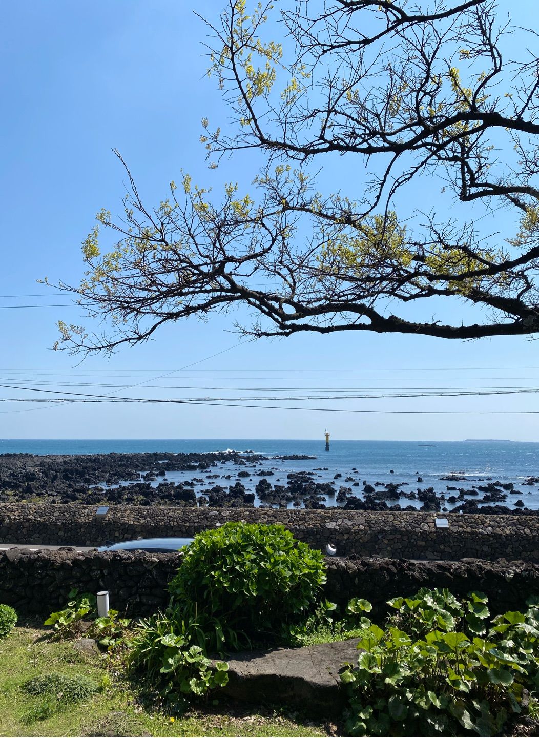 The scenery of Jeju Island is so good