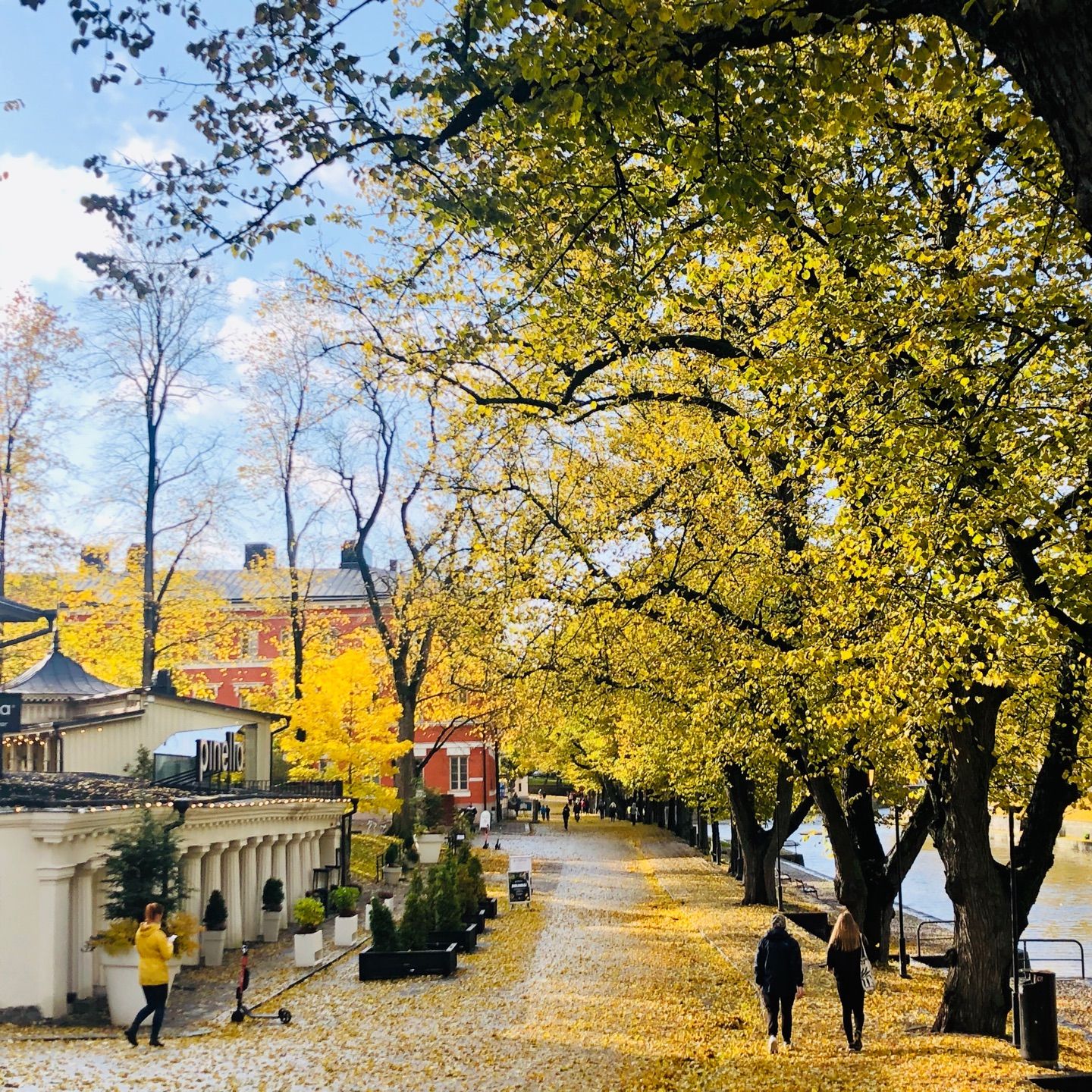 Autumn in Finland…