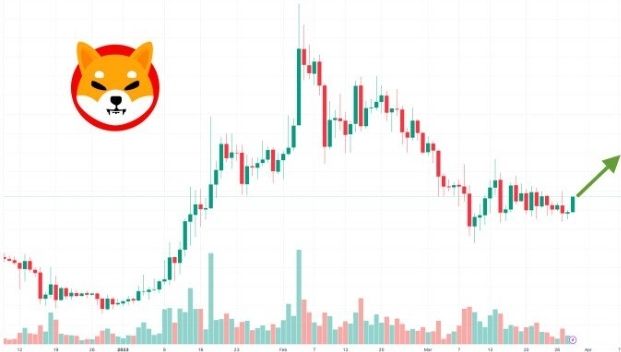 Shiba Inu Price Prediction as SHIB Pumps Up 5% in 24 Hours – Can SHIB Keep Rising?