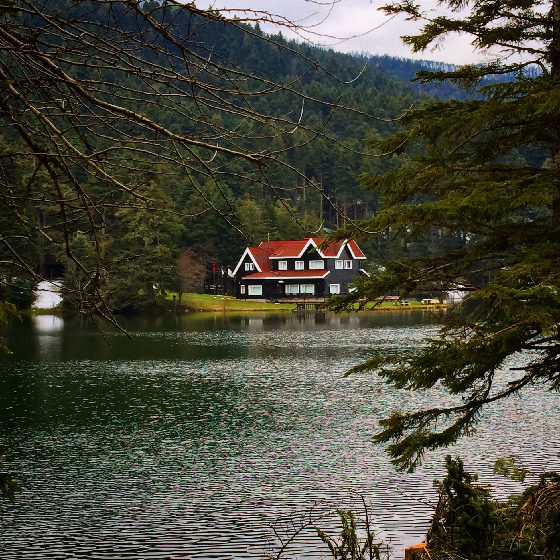 Gölcük-Bolu, 2015