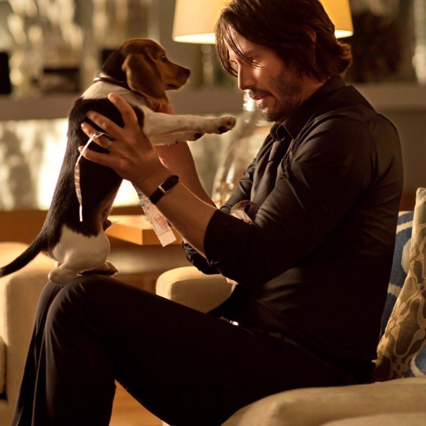 8 Years Ago Today The WRONDG MAN’S Dog Was Killed!

Did You Remember John Wick?