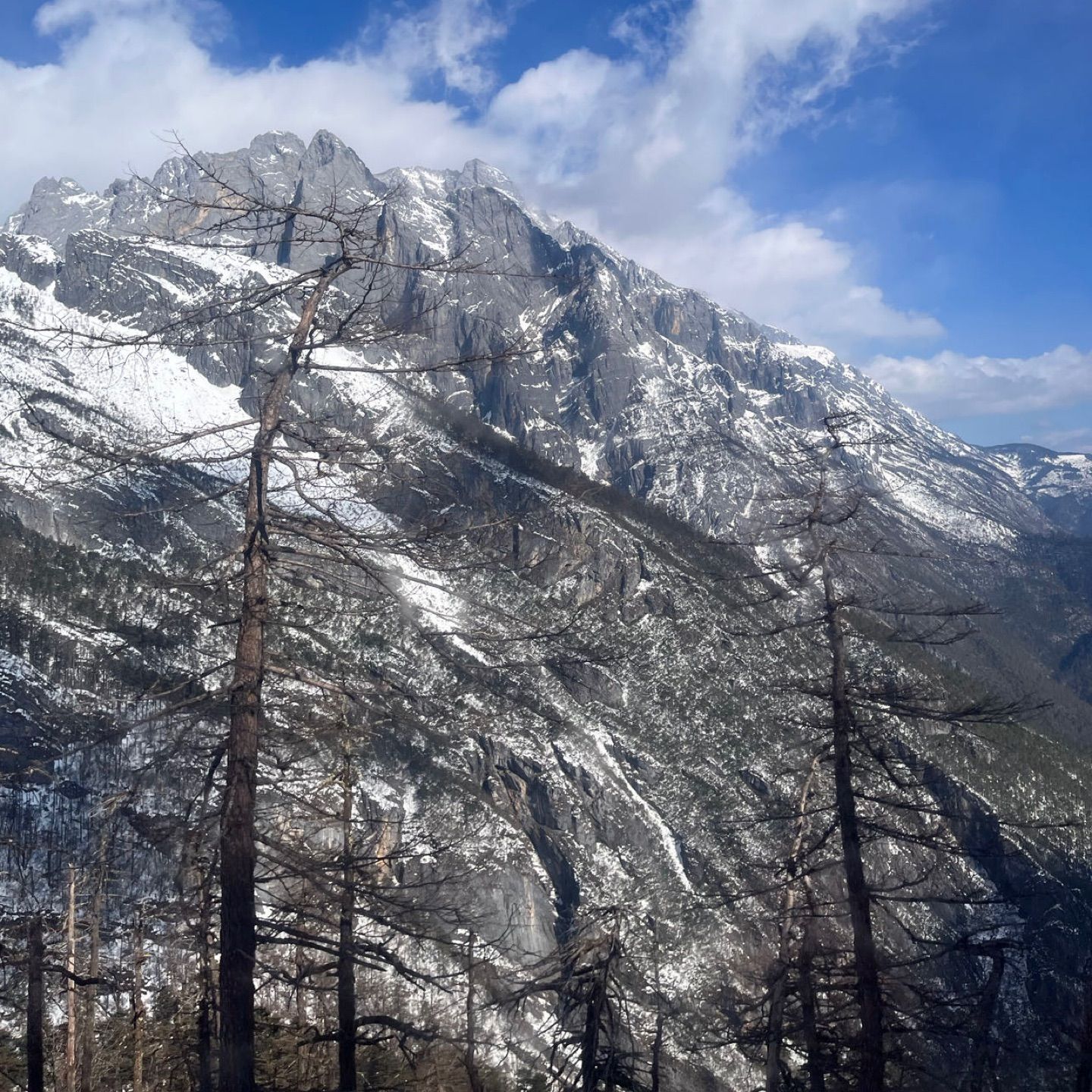 Dali, Yunnan - Snowy Mountains and Dead Wood