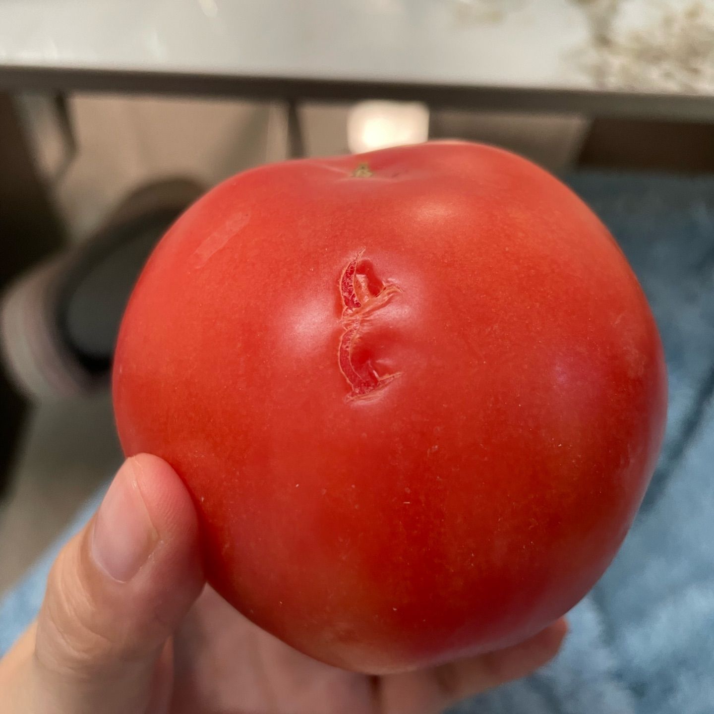 tomato