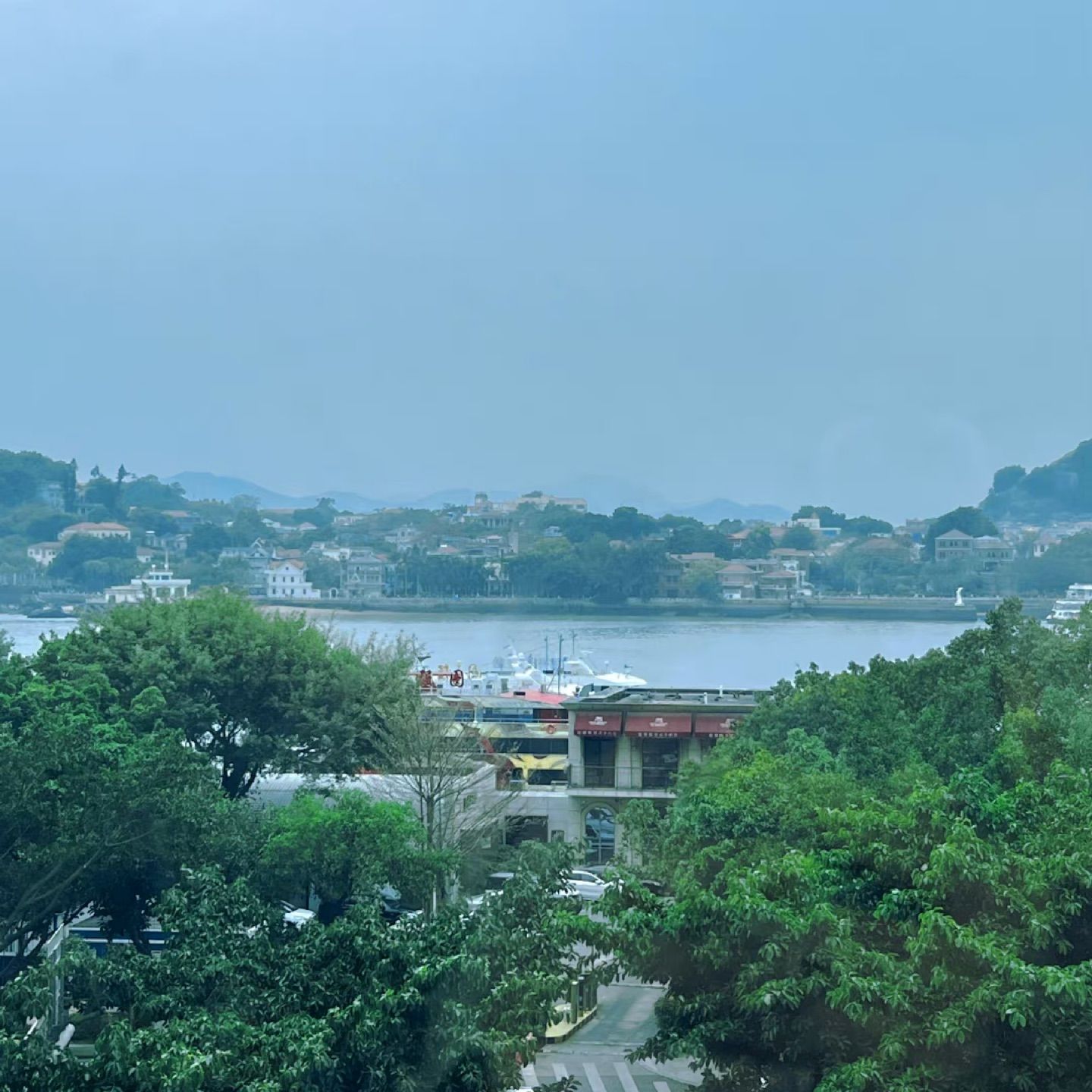 春路雨添花 
花动一山春色