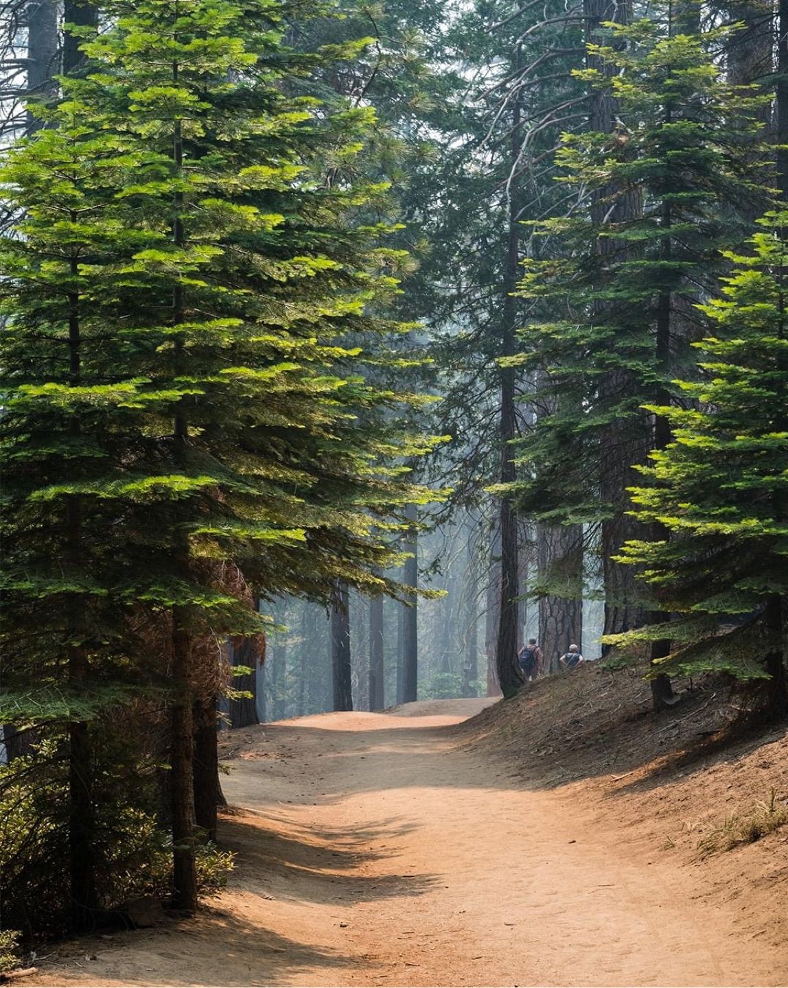 Yosemite National Park, California