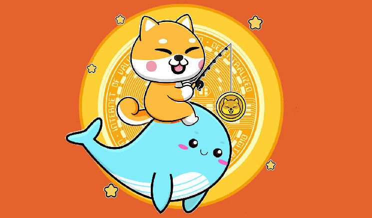 54,308,468,786,386 Shiba Inu (SHIB) Now in Hands of World’s Largest Ethereum Whales

#shib #btc #eth…