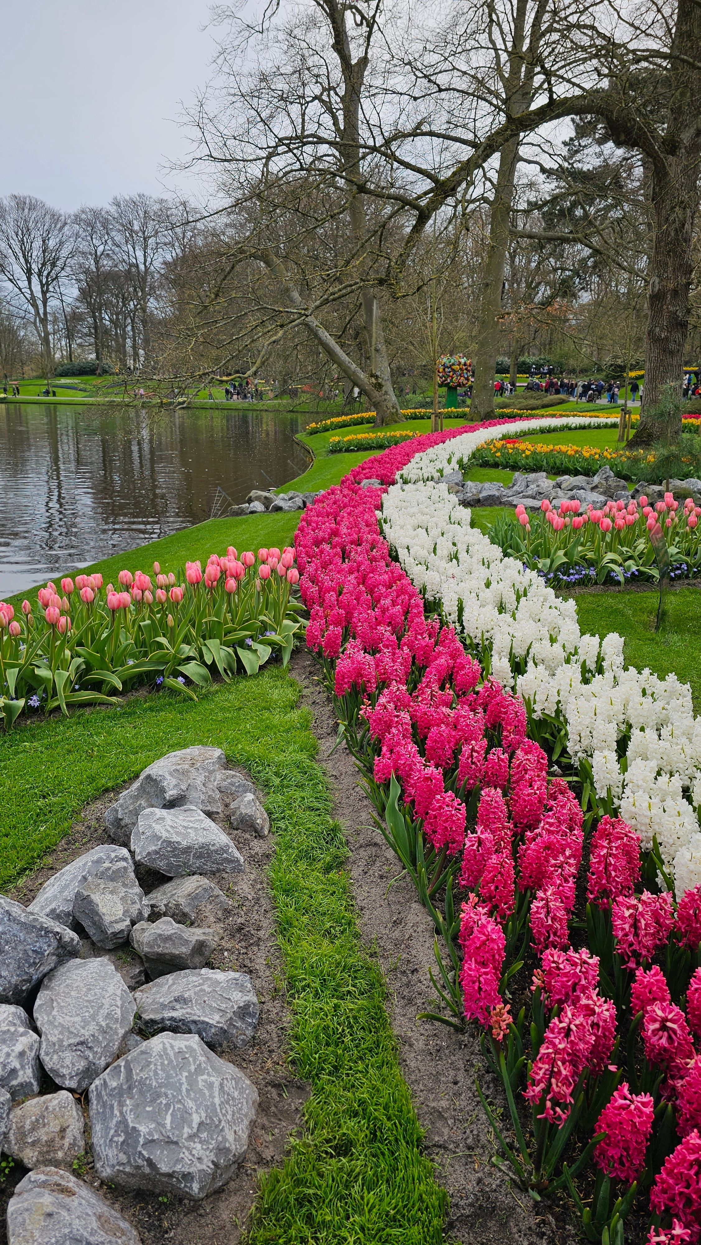 Tulip festival, Amsterdam.