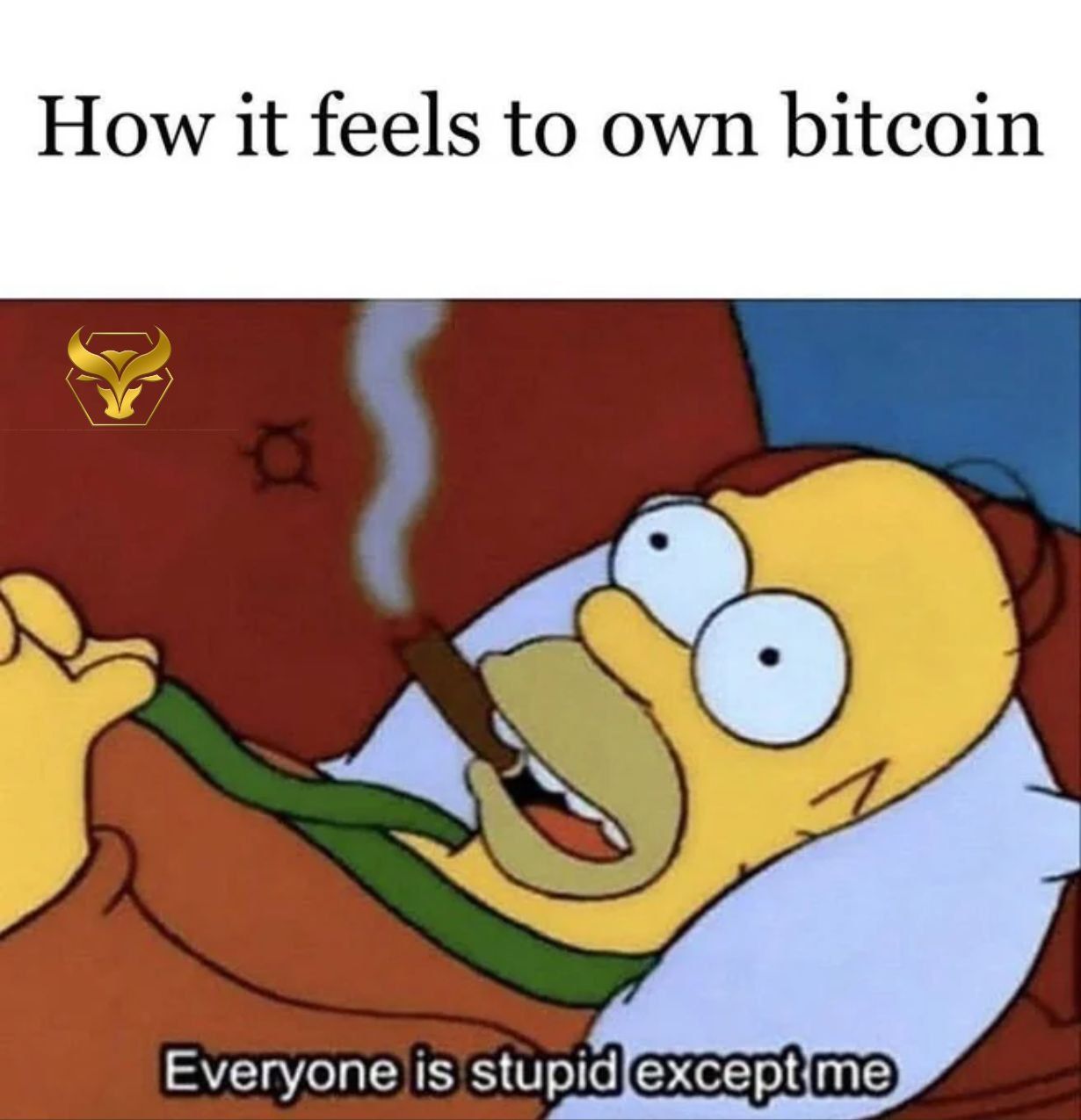 😎When you own #BTC