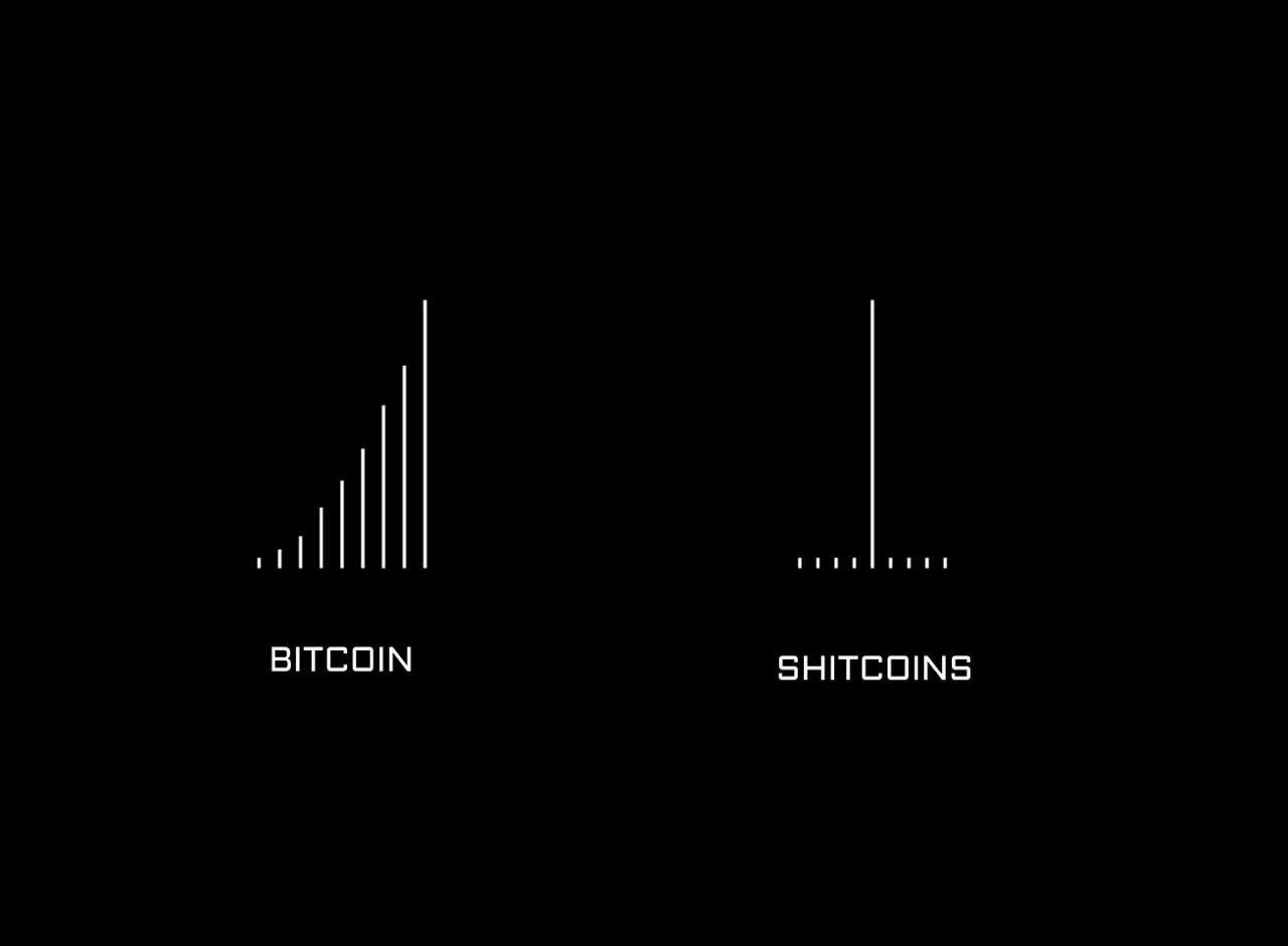 #Bitcoin  vs #Shitcoins

#Crypto #CryptoNews #NFT #Metaverse