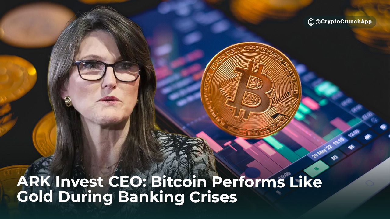 ARK Invest CEO Cathie Wood believes that recent banking crises have shown that Bitcoin can withstand…