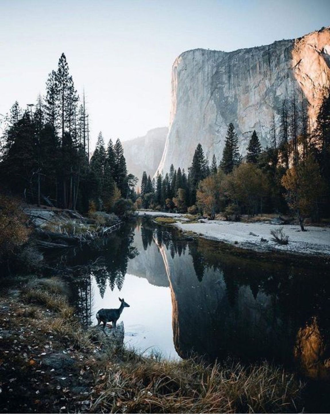 Yosemite National Park, California