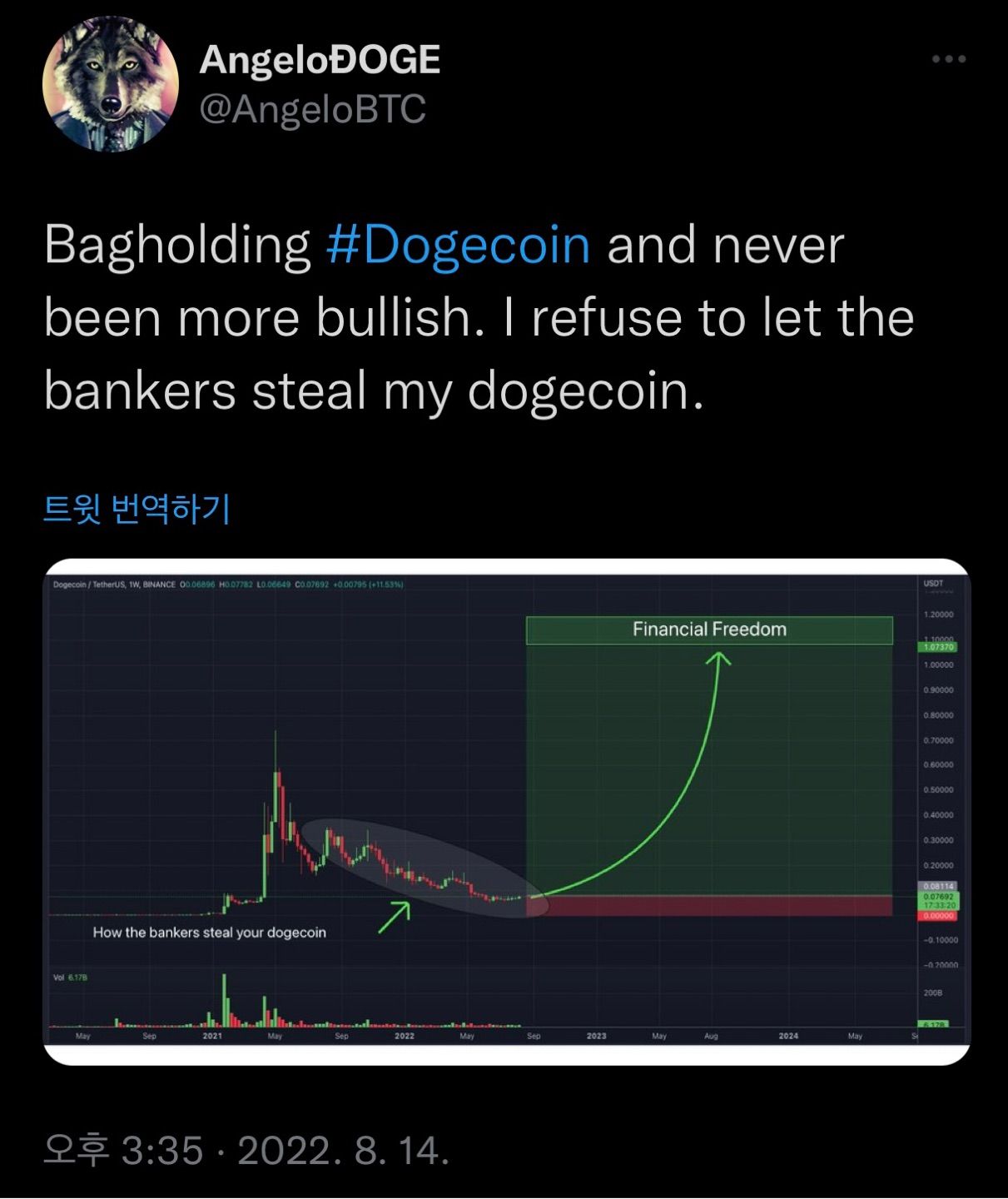 Bagholding dogecoin and never been more bullish