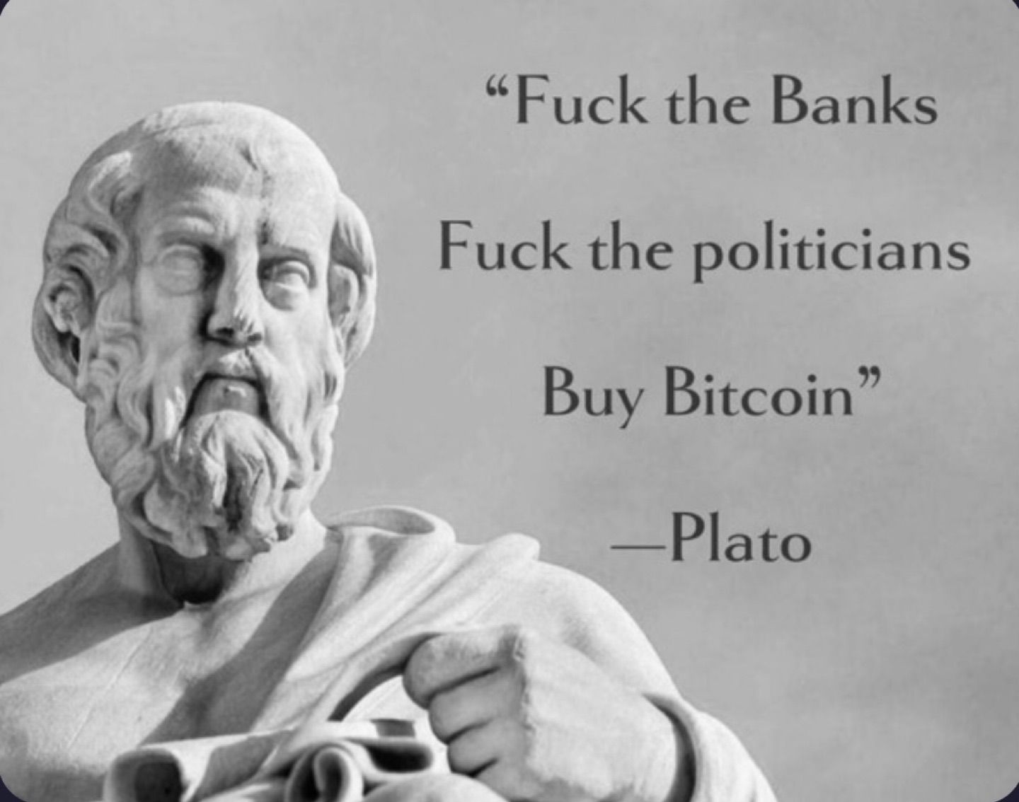 F*ck the Banks! 
F*ck the Politicians! 
But Bitcoin.