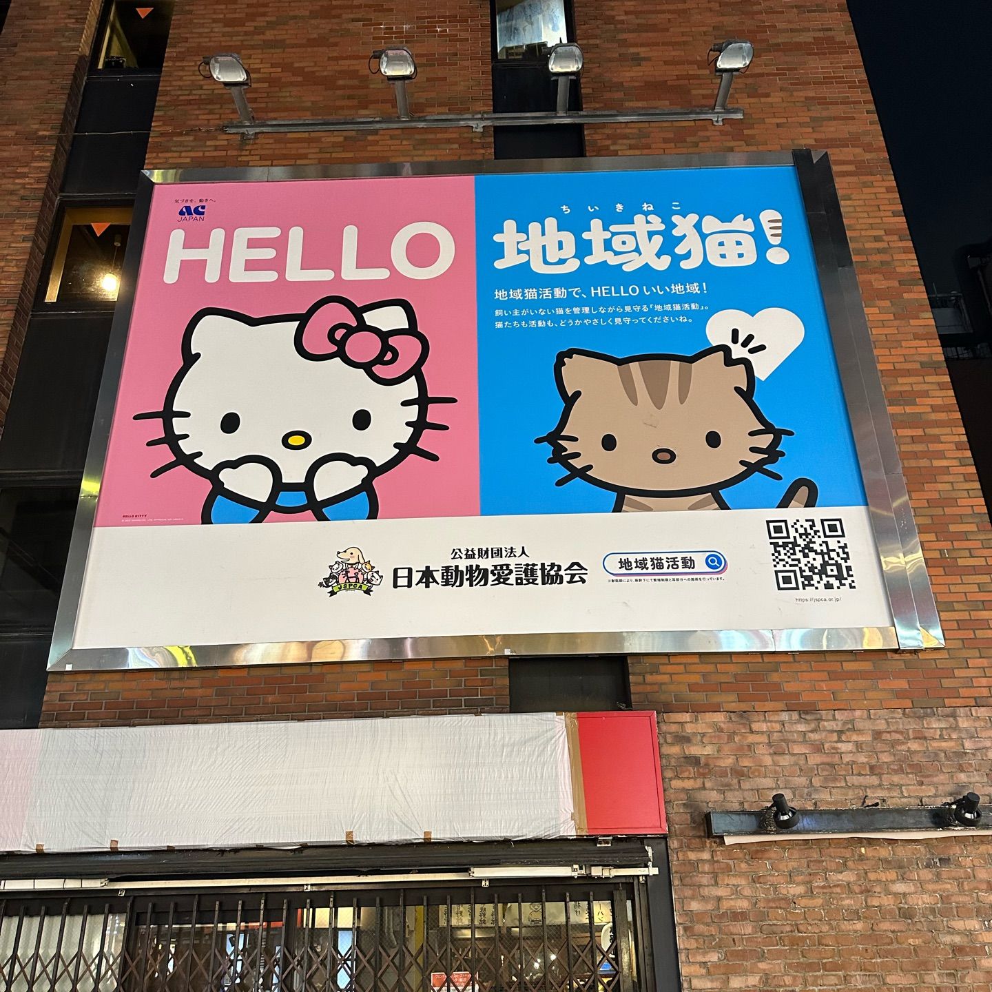 Hello Kitty is turning 50. And she is still cute as a button! 😻