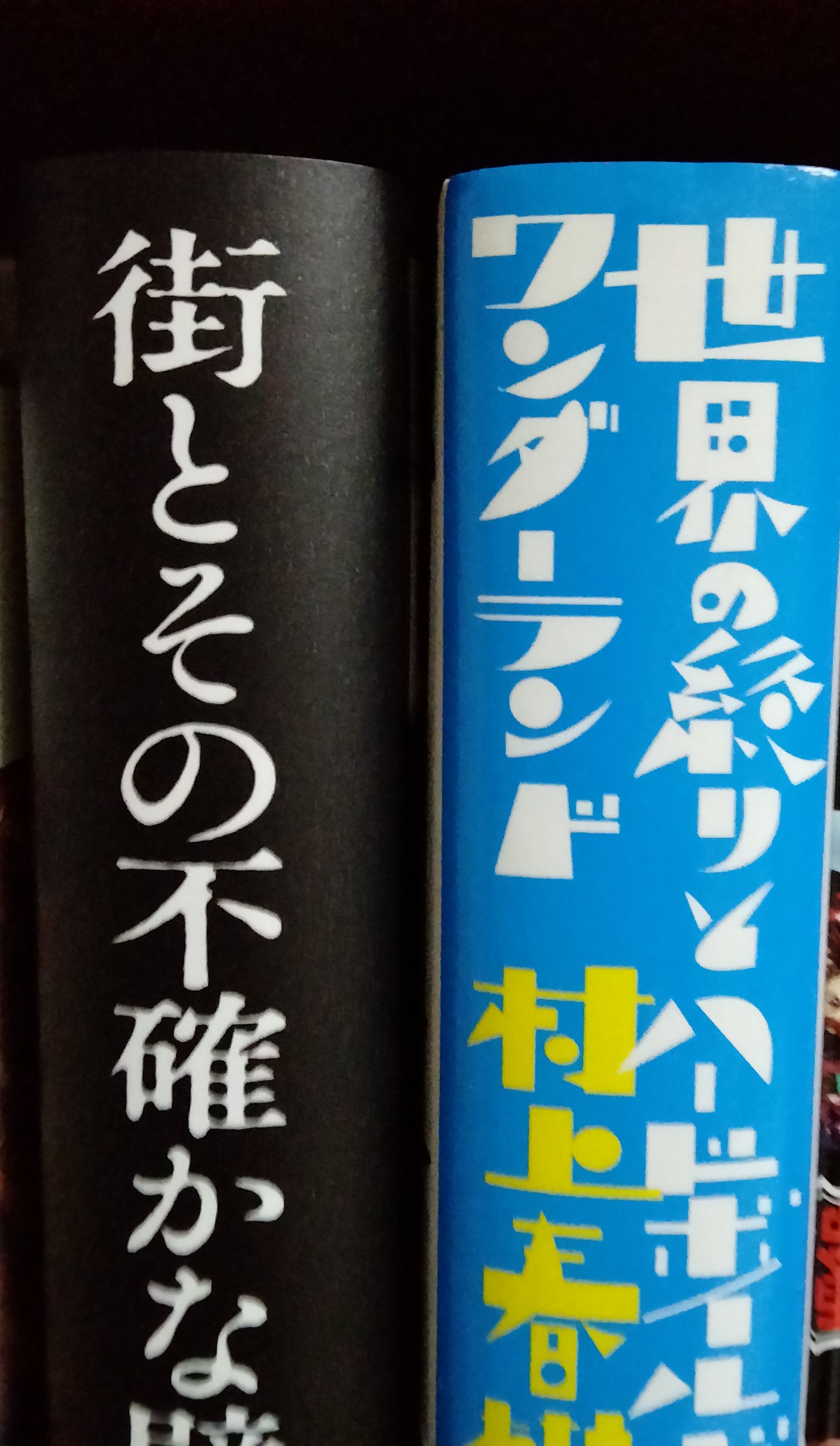 ２冊揃って満足です👍