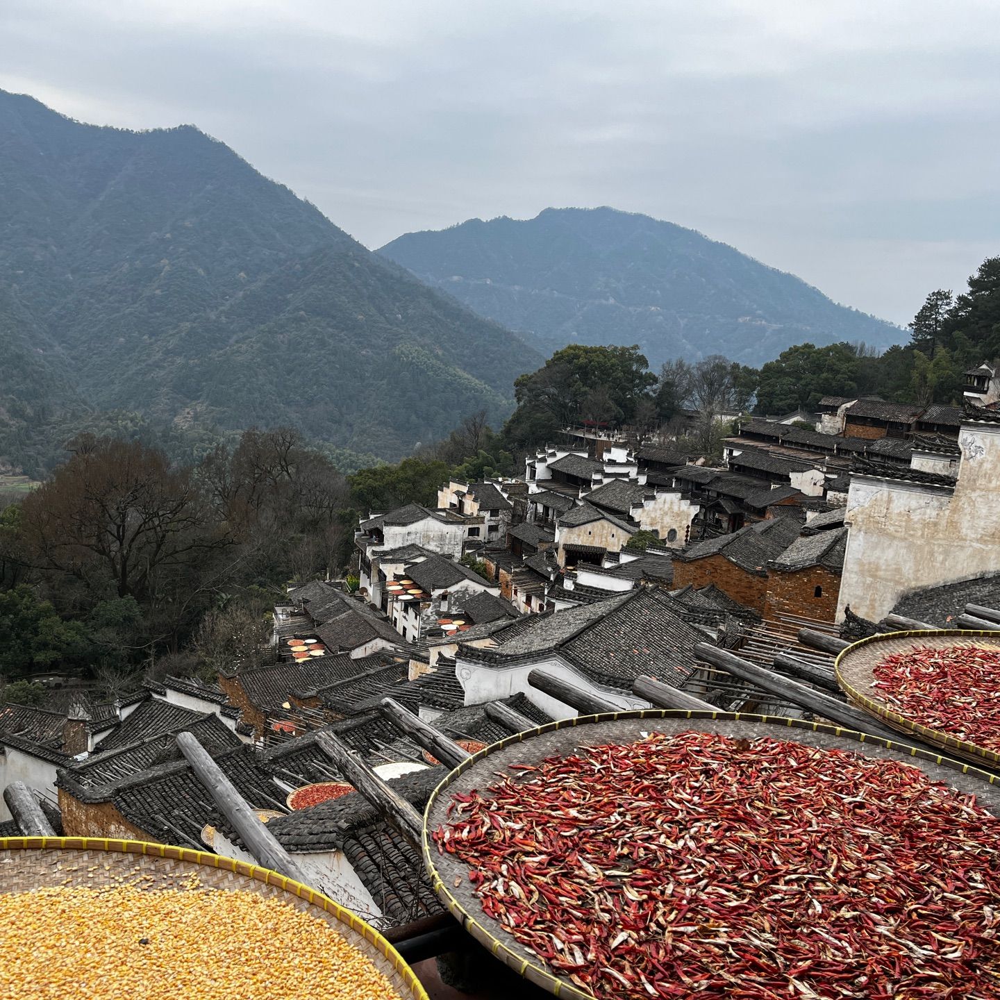 婺源篁岭