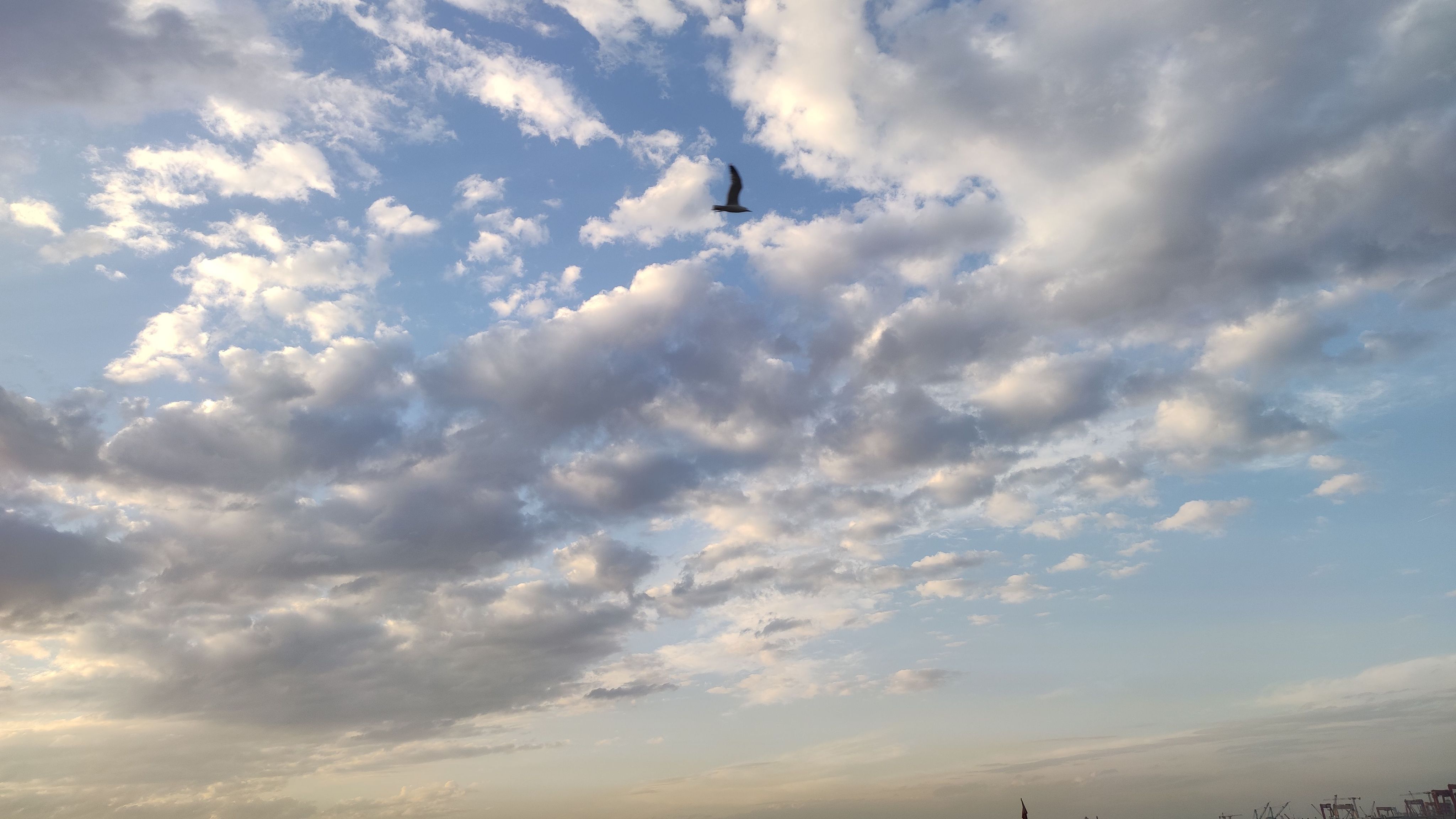 Sea, sky and seagulls...