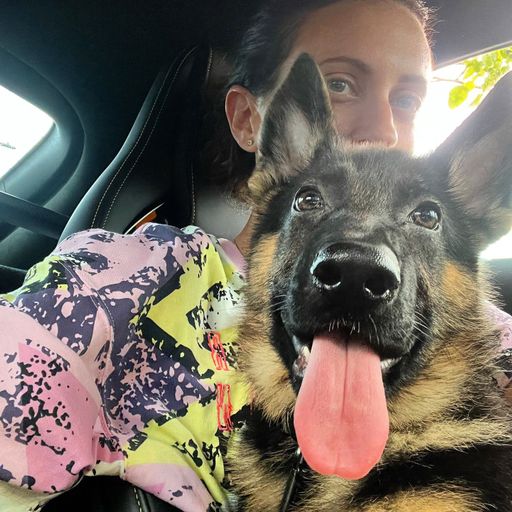 Gm frens! 👋 🐶 🚘